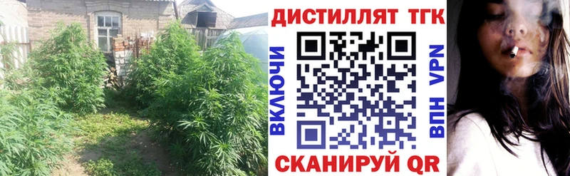 Купить где  Кимовск  ТГК вейп с тгк 